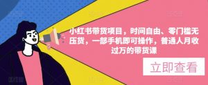 小红书带货项目，时间自由、零门槛无压货，一部手机即可操作，普通人月收过万的带货课|淘骐网赚资源库