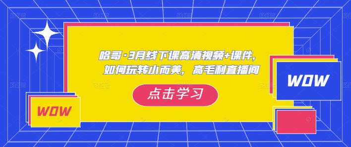 哈哥·3月线下实操课高清视频+课件,如何玩转小而美,高毛利直播间|淘骐网赚资源库
