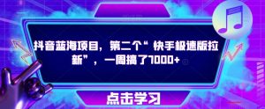 抖音蓝海项目，第二个“快手极速版拉新”，一周搞了7000+【揭秘】|淘骐网赚资源库