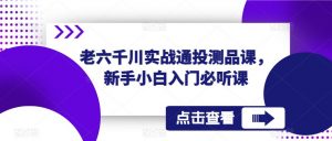 老六千川实战通投测品课，新手小白入门必听课|淘骐网赚资源库