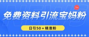 免费资料引流宝妈粉，日引50+精准粉【揭秘】|淘骐网赚资源库