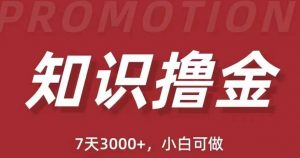 抖音知识撸金项目：简单粗暴日入1000+执行力强当天见收益(教程+资料)|淘骐网赚资源库