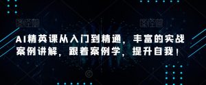 AI精英课从入门到精通,丰富的实战案例讲解,跟着案例学,提升自我!|淘骐网赚资源库