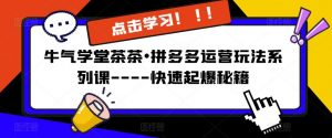 牛气学堂茶茶•拼多多运营玩法系列课—-快速起爆秘籍【更新】|淘骐网赚资源库