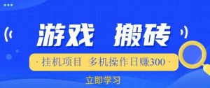 游戏挂机挂机项目,多机操作,日赚300【揭秘】|淘骐网赚资源库