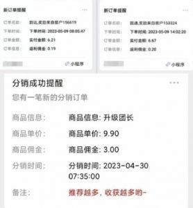 快递代发CPS,月入万元,不起眼却很赚钱的信息差项目【揭秘】|淘骐网赚资源库