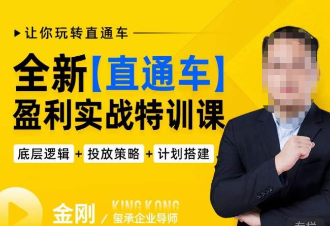 玺承·全新直通车盈利实战特训课,从底层逻辑详细拆解,从底层,策略到搭建,让你玩转直通车|淘骐网赚资源库