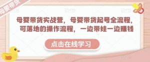 母婴带货实战营,母婴带货起号全流程,可落地的操作流程,一边带娃一边赚钱(附素材)|淘骐网赚资源库
