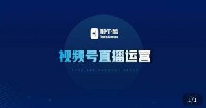 那个腾·视频号直播运营，​视频号直播推流逻辑/流量渠道解析/直播起号攻略/直播实操技巧|淘骐网赚资源库