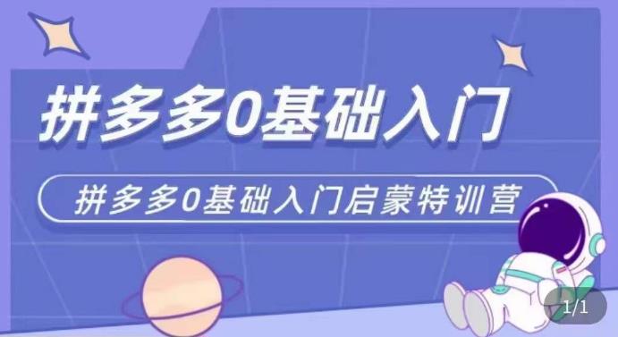 拼多多运营0-1实操特训营，拼多多0基础入门，从基础到进阶的可实操玩法|淘骐网赚资源库