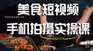 烁石·美食视频手机拍摄实操课,美食摄影理论、手机拍摄相关设置、剪辑调色、布光原理等内容|淘骐网赚资源库