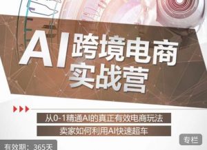 白龙老师·AI跨境电商实战营:从0-1精通Al的真正有效电商玩法,卖家如何利用Al快速超车|淘骐网赚资源库