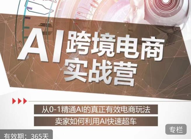 白龙老师·AI跨境电商实战营:从0-1精通Al的真正有效电商玩法,卖家如何利用Al快速超车|淘骐网赚资源库