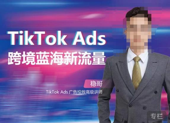 稳哥·如何投出高ROI的TikTok广告,开拓独立站卖家流量新蓝海|淘骐网赚资源库