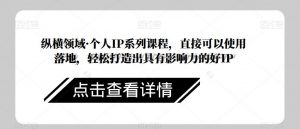 纵横领域·个人IP系列课程,直接可以使用落地,轻松打造出具有影响力的好IP|淘骐网赚资源库
