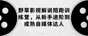 野草影视解说陪跑训练营,从新手进阶到成熟自媒体达人|淘骐网赚资源库
