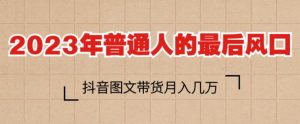 2023年普通人的最后风口,抖音图文带货月入几万,只需一部手机即可操作|淘骐网赚资源库