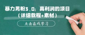 暴力男粉3.0:高利润的项目(详细教程+素材)【揭秘】|淘骐网赚资源库