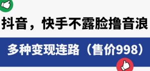抖音快手不露脸撸音浪项目，多种变现连路（售价998）|淘骐网赚资源库