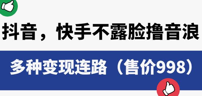 抖音快手不露脸撸音浪项目，多种变现连路（售价998）|淘骐网赚资源库