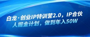 白龙·创业IP特训营2.0,IP合伙人掘金计划,做到年入50W|淘骐网赚资源库