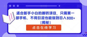 适合新手小白的搬砖项目,只需要一部手机、不用引流也能做到日入300+【揭秘】|淘骐网赚资源库