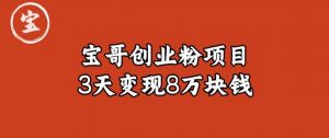 宝哥IP图文创业粉引流项目实战分享:单个账号3天涨粉1万,变现8万块钱(图文教程)【揭秘】|淘骐网赚资源库