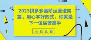 2023拼多多高阶运营进阶篇，用心学好四式，你就是下一位运营高手|淘骐网赚资源库