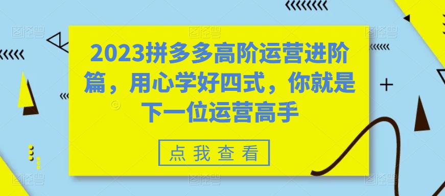 2023拼多多高阶运营进阶篇，用心学好四式，你就是下一位运营高手|淘骐网赚资源库