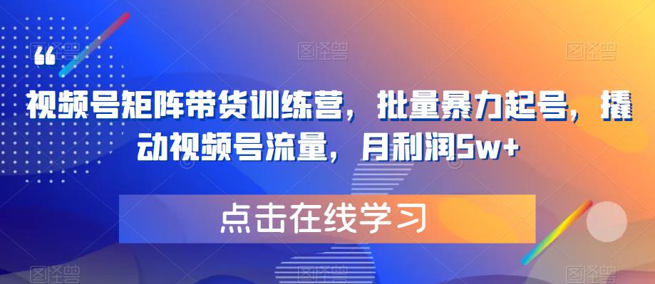 视频号矩阵带货训练营,批量暴力起号,撬动视频号流量,月利润5w+|淘骐网赚资源库