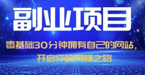 零基础30分钟拥有自己的网站,日赚1000+,开启你的网赚之路|淘骐网赚资源库
