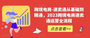 跨境电商-速卖通从基础到精通,2023跨境电商速卖通运营全流程|淘骐网赚资源库