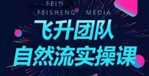 飞升团队课程自然流实操课，抖音半无人起号主播间搭建教学|淘骐网赚资源库