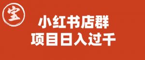 宝哥小红书店群项目，日入过千（图文教程）【揭秘】|淘骐网赚资源库