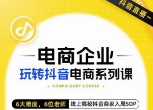 玺承·电商企业玩转抖音电商系列课,6大维度,6位老师,线上揭秘抖音商家入局SOP|淘骐网赚资源库