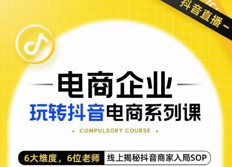 玺承·电商企业玩转抖音电商系列课,6大维度,6位老师,线上揭秘抖音商家入局SOP|淘骐网赚资源库