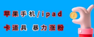 最新利用苹果手机/ipad的ios系统，卡道具搬短视频，百分百过原创|淘骐网赚资源库