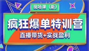 抖音短视频疯狂爆单特训营现场课（新）直播带货+实战案例|淘骐网赚资源库