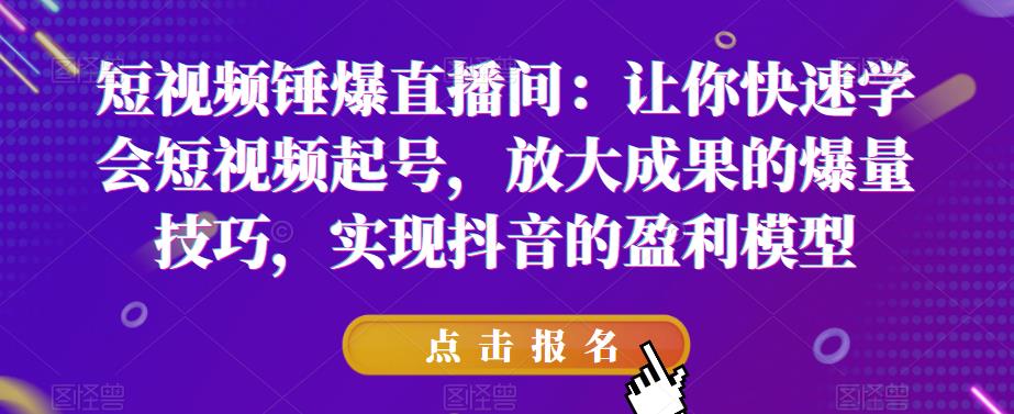短视频锤爆直播间:让你快速学会短视频起号,放大成果的爆量技巧,实现抖音的盈利模型|淘骐网赚资源库