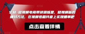 文林·短频视电商带训货练营,短视频的新赚钱方法,在视号频和抖音实上现爆单吧|淘骐网赚资源库