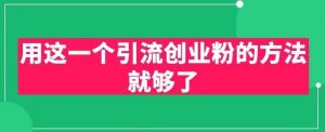 用这一个引流创业粉的方法就够了，PPT短视频引流创业粉【揭秘】|淘骐网赚资源库