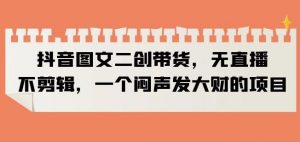 抖音图文二创带货,无直播,不剪辑,一个闷声发大财的项目【揭秘】|淘骐网赚资源库