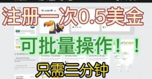 国外项目注册一次0.5美金,只需三分钟无脑操作,可批量同时放大操作,小白工作室福利【揭秘】|淘骐网赚资源库
