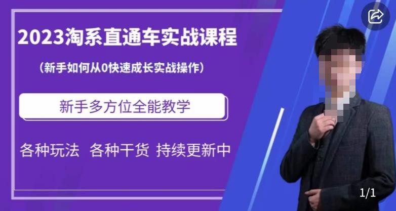 2023淘系直通车保姆式运营讲解,新手如何从0快速成长实战操作,新手多方位全能教学|淘骐网赚资源库