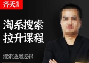 齐天电商·淘系搜索提升课程，​搜索递增标准化，动销标准化流程|淘骐网赚资源库