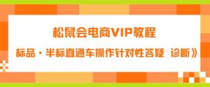 松鼠会电商VIP教程:松鼠《付费推广标品·半标直通车操作针对性答疑&诊断》|淘骐网赚资源库