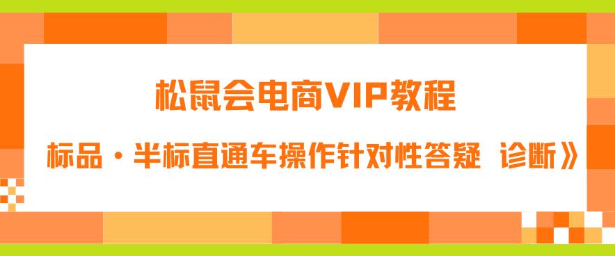 松鼠会电商VIP教程：松鼠《付费推广标品·半标直通车操作针对性答疑&诊断》|淘骐网赚资源库