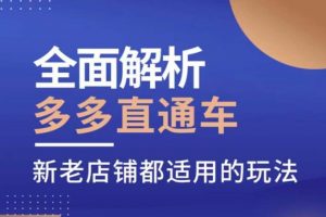 全面解析多多直通车,新老店铺都适用的玩法|淘骐网赚资源库