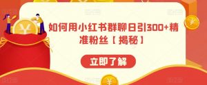 如何用小红书群聊日引300+精准粉丝【揭秘】|淘骐网赚资源库