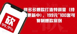 拼多多爆款打造特训营（持续更新中)，199元*100套可复制爆款案例|淘骐网赚资源库